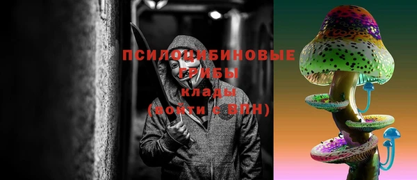бошки Осташков