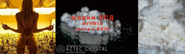 индика Нефтегорск