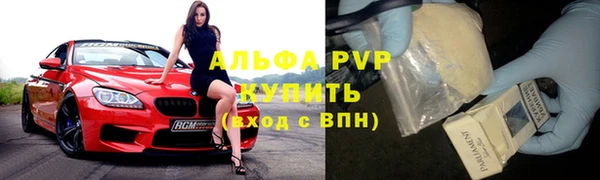 стаф Нея