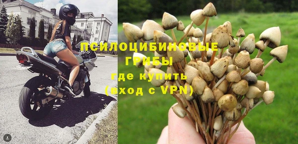 стаф Нея
