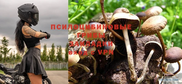 бошки Гусиноозёрск