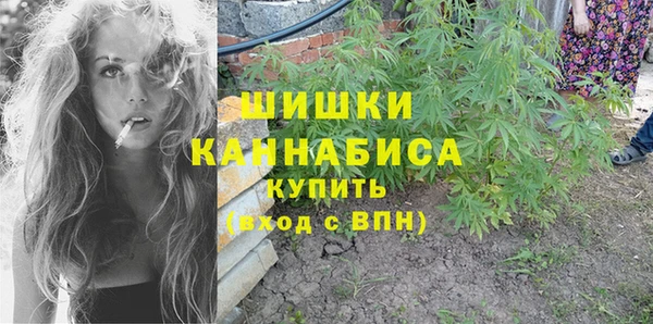 стафф Нефтекумск