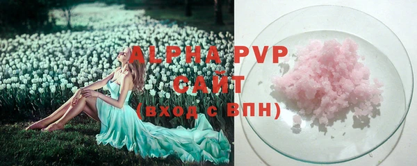 стаф Нея