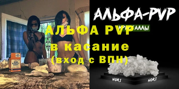 индика Нефтегорск