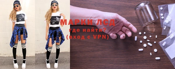 стаф Нея